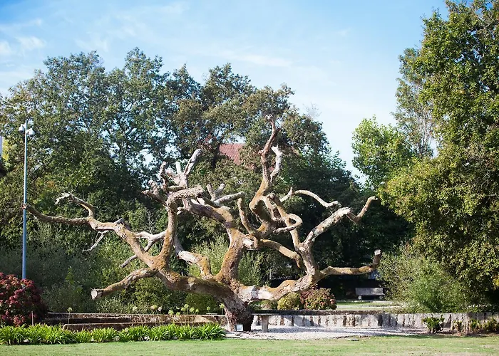 Ξενοδοχείο Termas De - Castro Do Balneario 4*
