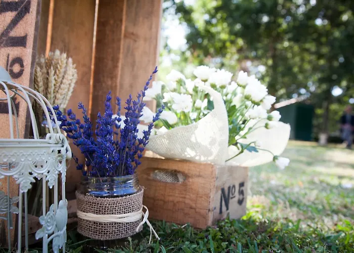 Ξενοδοχείο Termas De - Castro Do Balneario 4*